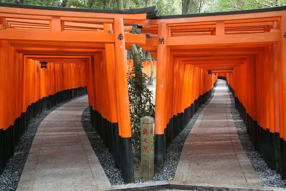 Kyoto: Fushimi Inari, Kinkakuji, Bamboo Grove 1 Day Bus Tour