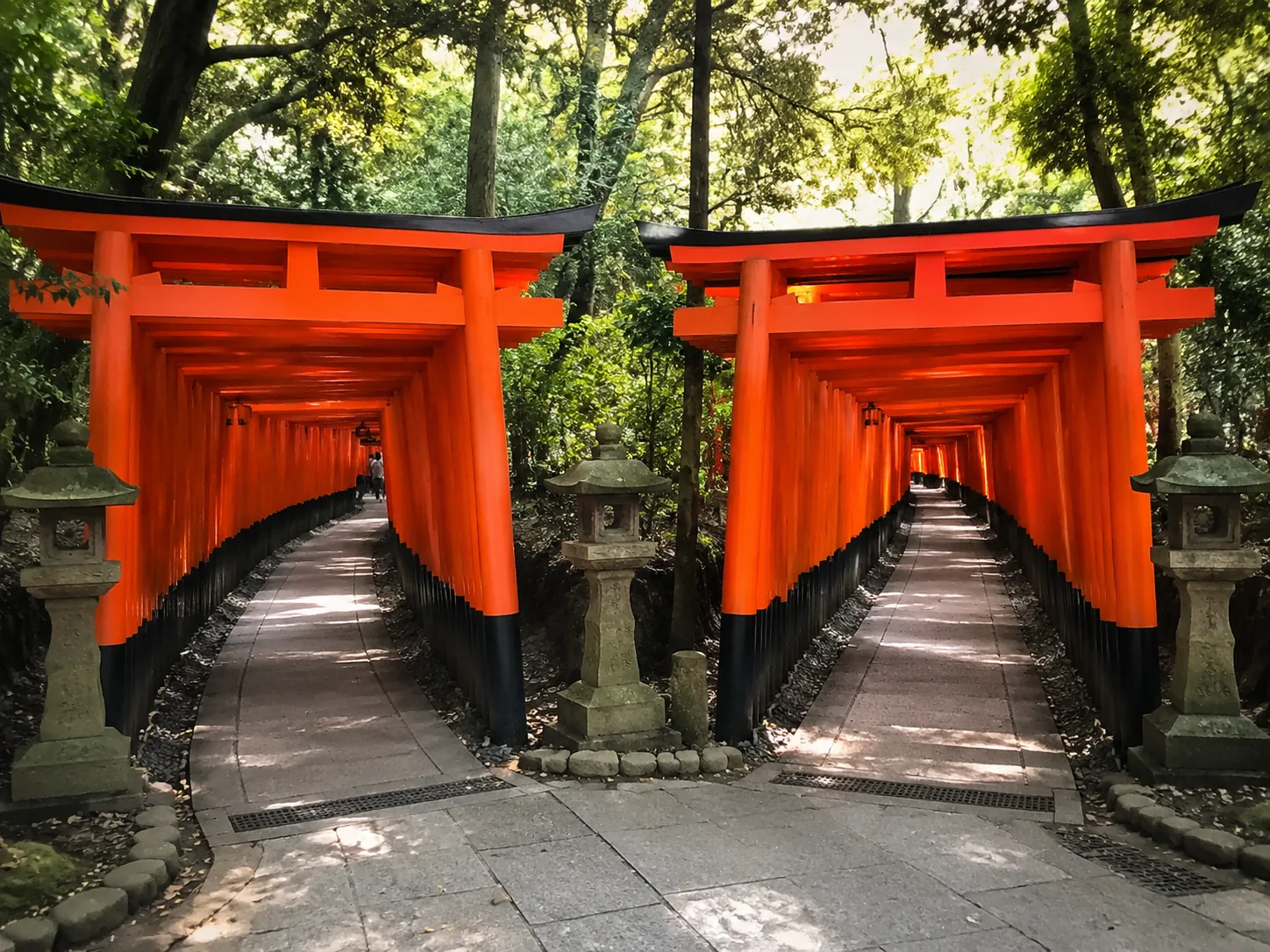 Vermilion torii gates stacked in a tunnel near the Senbon Torii